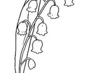 Coloriage Muguet fleurs populaire