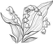 Coloriage Muguet fleurs printani&egrave;res 