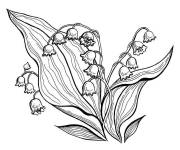 Coloriage Muguet fleurs rapide &agrave; colorier
