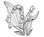 Coloriage Muguet fleurs sur ordinateur