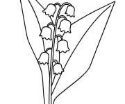Coloriage Muguet, le premier n&eacute; de Mai