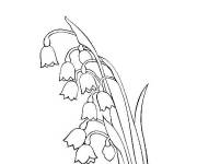 Coloriage Muguet marque la fin de l'hiver