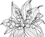 Coloriage et dessins gratuit Muguet réaliste à imprimer