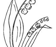 Coloriage Muguet simple