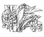 Coloriage Plante de muguet et ses petites fleurs