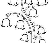 Coloriage Plante de Muguet fleuri stylis&eacute;e