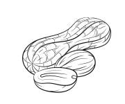 Coloriage et dessins gratuit Arachide facile à imprimer