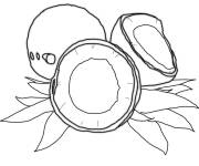Coloriage Coquille de noix