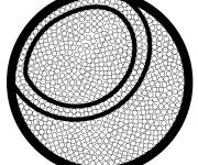 Coloriage Coquille de noix artistique en noir et blanc