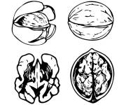 Coloriage Des illustrations de noix imprimable