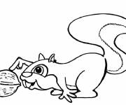 Coloriage et dessins gratuit &Eacute;cureuil mignon jouant avec noix à imprimer