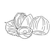 Coloriage Illustration noix