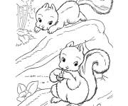 Coloriage Les &eacute;cureuils avec noix dans la foret