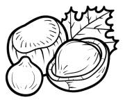 Coloriage Noisette avec feuille de l'arbre