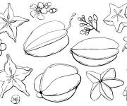 Coloriage Noix carambole