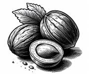 Coloriage Noix de coco comme fond d'&eacute;cran en noir et blanc