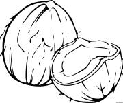 Coloriage et dessins gratuit Noix de coco facile à imprimer