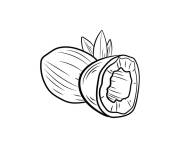 Coloriage Noix de coco simple et facile &agrave; colorier