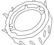 Coloriage Noix en emoji