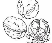 Coloriage et dessins gratuit Noix en noir et blanc à imprimer