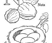 Coloriage Noix et nid