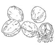 Coloriage et dessins gratuit Noix nutrition à imprimer