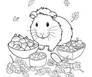 Coloriage Noix nutrition du Hamster