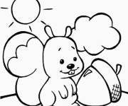 Coloriage Petit &eacute;cureuil avec noix ce1