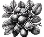 Coloriage Plante de Noix de coco gs
