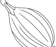 Coloriage Bulbe d'oignon facile