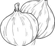 Coloriage Des Oignons couleur