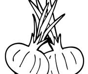 Coloriage Deux Oignons avec germes