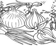 Coloriage Fourmi avec des Oignons