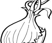 Coloriage L&eacute;gume Oignon avec des racines