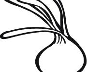 Coloriage Oignon &agrave; germe pour enfants