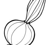Coloriage Oignon abstrait en contour