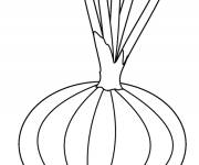 Coloriage Oignon au crayon pour les petits &eacute;coliers
