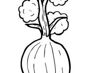 Coloriage Oignon avec des feuilles