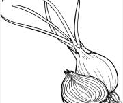 Coloriage Oignon avec des gros racines