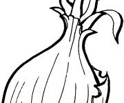 Coloriage et dessins gratuit Oignon en noir et blanc pour enfants à imprimer