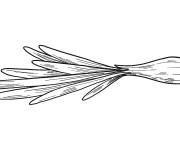 Coloriage et dessins gratuit Oignon germ&eacute; à imprimer