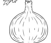 Coloriage Oignon germ&eacute; en trait noir