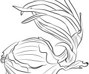Coloriage Oignon germ&eacute; r&eacute;aliste