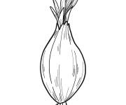 Coloriage Oignon germ&eacute; stylis&eacute;