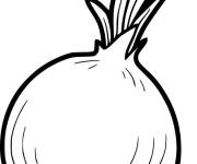 Coloriage et dessins gratuit Oignon maternelle à imprimer