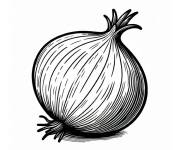 Coloriage Oignon simple