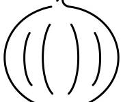Coloriage Oignon stylis&eacute; pour &eacute;coliers