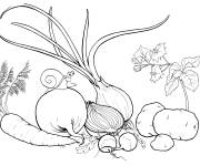 Coloriage Oignons et des l&eacute;gumes