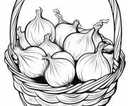 Coloriage Panier d'Oignons