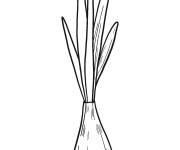 Coloriage et dessins gratuit Petit Oignon germ&eacute; à imprimer